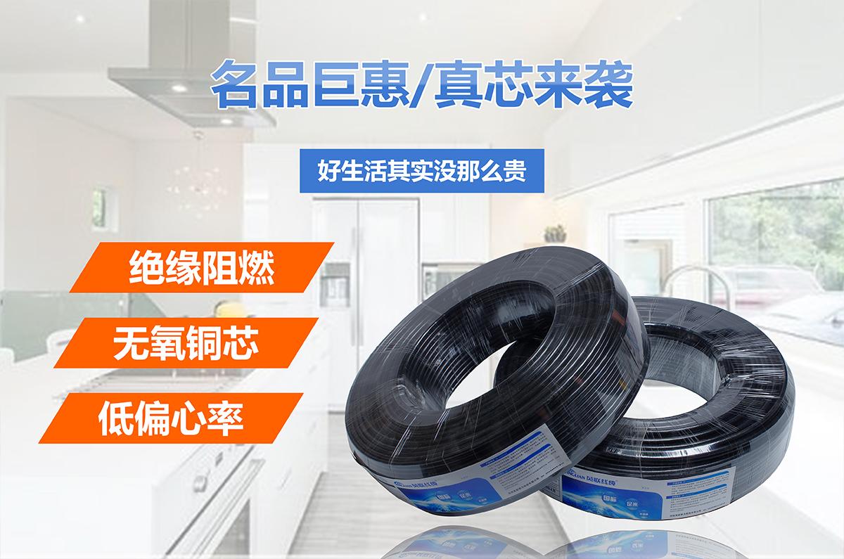 電源線(圖3) 電源線