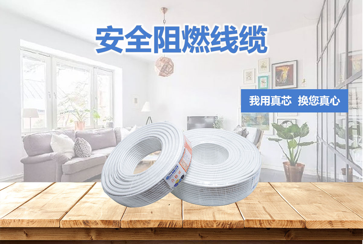 電視線(圖1) 有線電視線